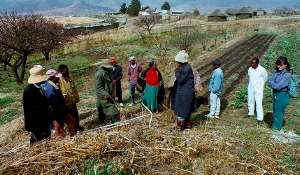 field trip to ntate maama's farm