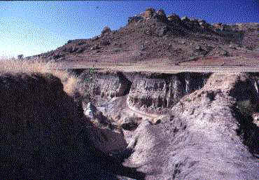 erosion gully bordering the site